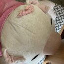 삼순이비어 이미지