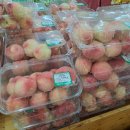 대월푸드 이미지