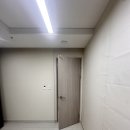 도배르만