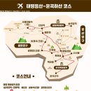 태평여행사 이미지