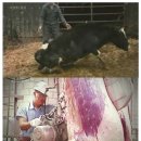 광기농장2 이미지