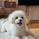 클린업크리닝 이미지