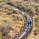 닭머르해안길 이미지