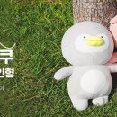 디비스튜디오