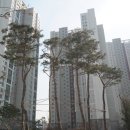 더샵포레공인중개사사무소 이미지