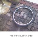 코아아이스크림 네이버블로그