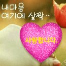 묘지에 소변본 여자 이미지