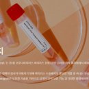 엑셀인베스트먼트 이미지
