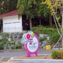 경성전자고등학교 | 부산 서구 꽃마을 가볼만한곳 숨겨진 산책 코스 구덕수원지
