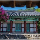 유림-1023 이미지