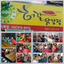 신-코리아태권도 이미지