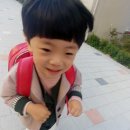 댄디보이 - 경산시 성암로12길 1 | 댄디보이