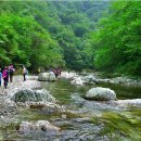 제232차 명산 산행 안내[강원도 인제 아침가리골 계곡트레킹] 이미지