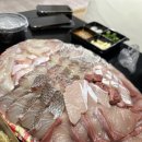 여수 명수산 모듬 회 방어 돔 오동동김밥 포장