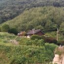 어유소 장군 사당 | 동두천 동점마을 산골에 숨겨진 어유소장군 사당