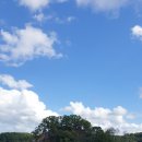 문경참미나리 미돈가 이미지