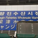 행정사 김성민사무소 네이버블로그