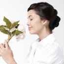 조례1길 이미지