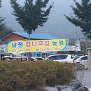 남창감나무집 네이버블로그