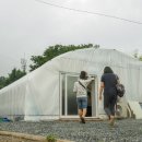 우명동 전통떡마을영농조합 이미지