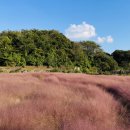 서광리-3 이미지