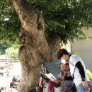 완주군보장구서비스센터 이미지