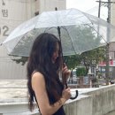 현애견미용실 이미지