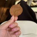 유즈네일 - 광산구 신창로138번길 7-9 | 유즈네일