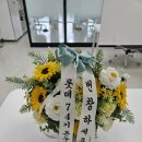 벤자민세무회계 이미지