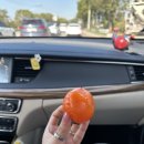 도훈농장 이미지