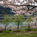 사랑이 꽃피는 약국 이미지