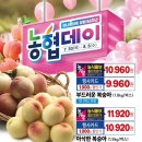 농협하나로마트 네이버블로그