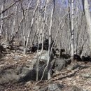 내장산 흑염소농장 이미지