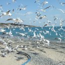 바다한접시 - 충주시 연수동산로6길 6 | 바다한접시