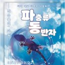 비바리움매니아 | 광주 파충류 좋아한다면 꼭 가봐야 할 행사! 국내 최대 파충류 박람회 ‘파충류 동반자’ 기대 후기