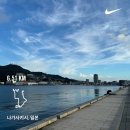 리틀보이(Little Boy) | 일본 청년평화대사 In Nagasaki (2) - 전쟁의 비극과 평화의 중요성