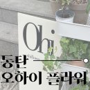 오하이플라워