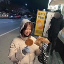 서구-01-89 | 26••01•• 사랑으로 살자! (In 경주 대구)