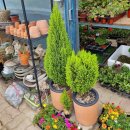 와부농업협동조합 하나로마트 이미지