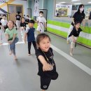 용인대백호태권도 이미지