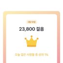 나무사이로햇살이