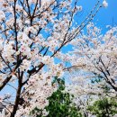 곤지암도자공원 이미지