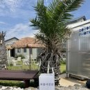 귀덕 | 제주 명소 추천｜제주 바다 앞에서 찍는 야외 인생네컷 "보롬사진관 귀덕점" 내돈내산