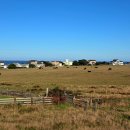 지상낙원 c 이미지