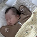 아이맘케어 | 파주 초보맘의 산후도우미 '아이맘케어' 3주 후기