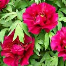 행복한중구 푸드마켓 이미지