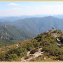 표충사1 이미지