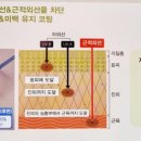 루아이즈 이미지