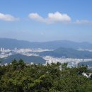 장산 목장터 티스토리