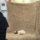 엠산후조리원 이미지